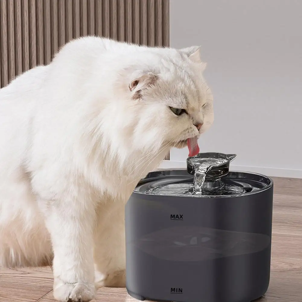 Диспенсер воды V3l2 для собак, Электрический бесшумный фонтан с Usb, для домашних животных
Диспенсер воды V3l2 для собак, Электрический бесшумный фонтан с Usb, для домашних животных