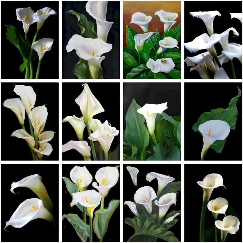 GATYZTORY Paint By Number White Tulips Drawing On Canvas Gift Diy Pictures By Numbers Flower Kits Acrylic Painting Art Home Deco
GATYZTORY Paint By Number White Tulips Drawing On Canvas Gift Diy Pictures By Numbers Flower Kits Acrylic Painting Art Home Deco