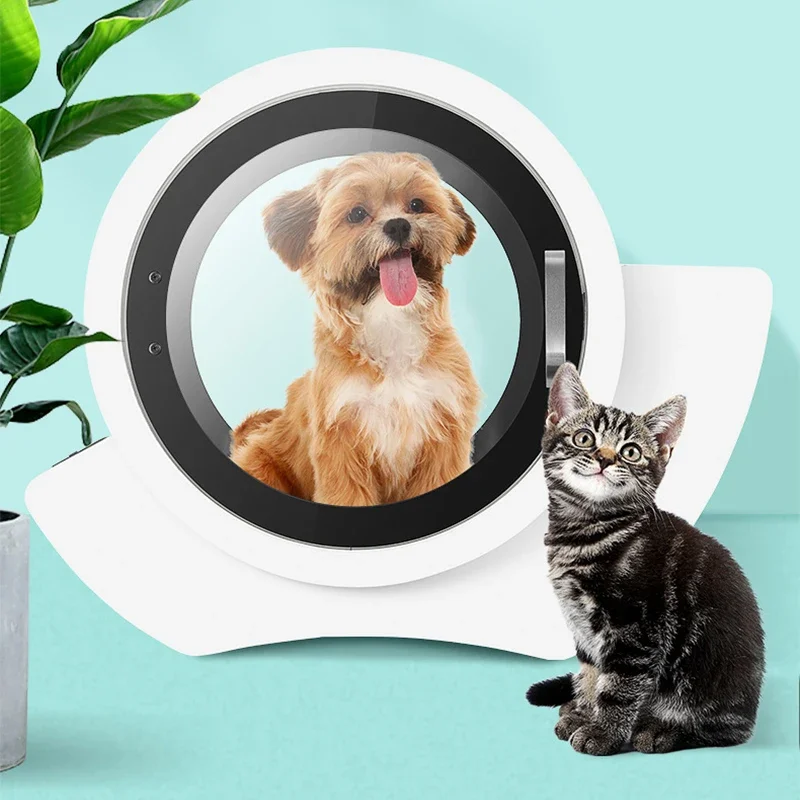 Фен для домашних животных, сушилка для домашних животных, сушилка для собак и кошек, бытовая бесшумная сушилка, электрическая сушильная машина для выдувания воды
Фен для домашних животных, сушилка для домашних животных, сушилка для собак и кошек, бытовая бесшумная сушилка, электрическая сушильная машина для выдувания воды