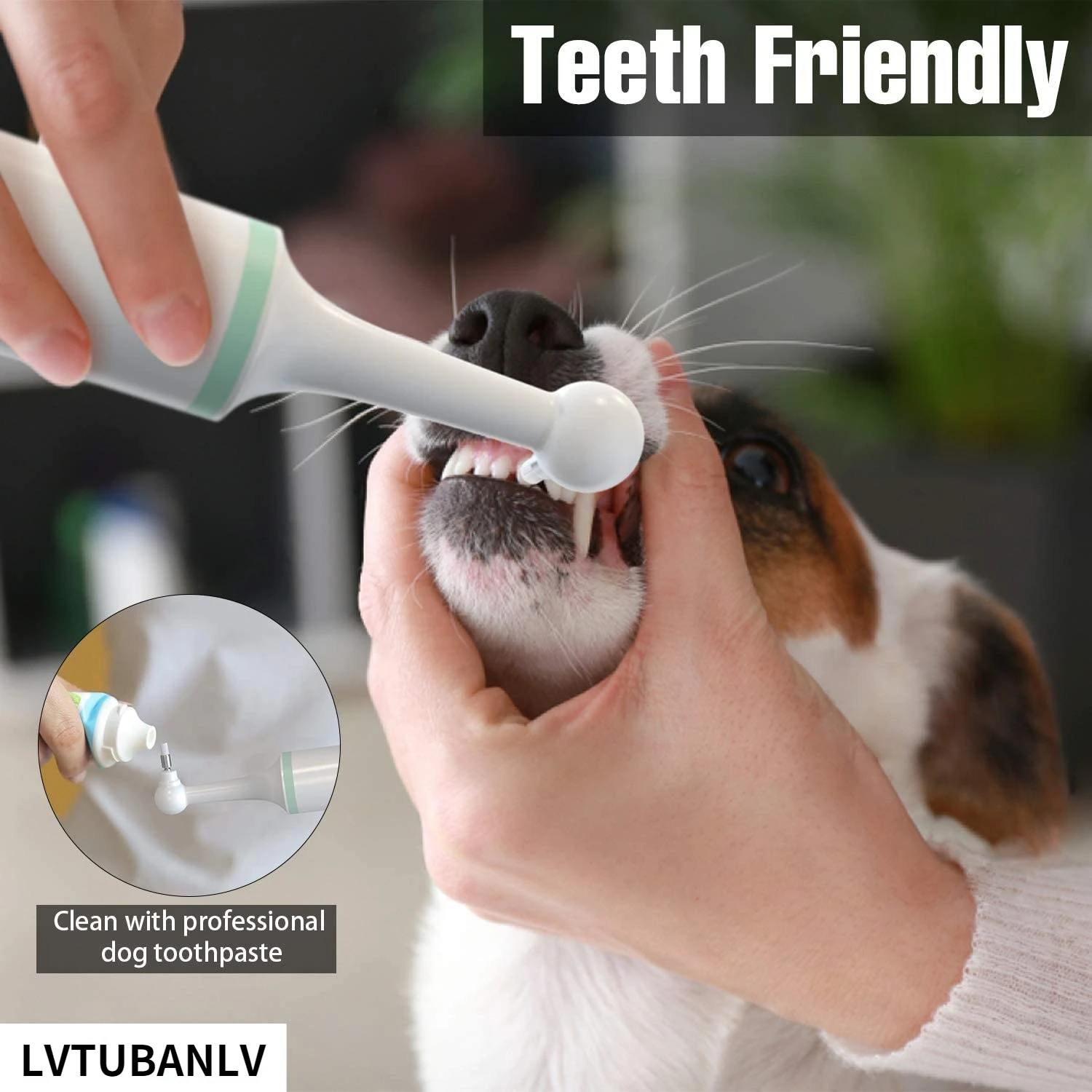 ATUBAN Dog Tooth Cleaner Electric Battery-powered Brush Professional Dog Tartar Pet Calculus Oral Hygiene Device USB Powered
ATUBAN Dog Tooth Cleaner Electric Battery-powered Brush Professional Dog Tartar Pet Calculus Oral Hygiene Device USB Powered