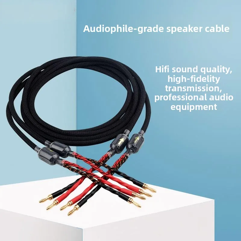 New Fever Western Electric Speaker Cable Gold Plated Banana Head Audio Connection Amplifier Cable Audio
New Fever Western Electric Speaker Cable Gold Plated Banana Head Audio Connection Amplifier Cable Audio