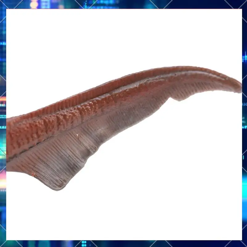 2 шт., 20 см, модель динозавра, игрушка Dunkleosteus, динозавр, рыба, украшение, экшн-фигурка, модель игрушки-AA02
2 шт., 20 см, модель динозавра, игрушка Dunkleosteus, динозавр, рыба, украшение, экшн-фигурка, модель игрушки-AA02