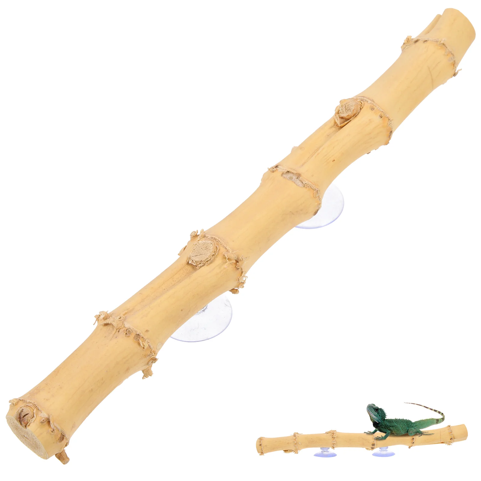 Lizard Pet Stand Wooden Reptile Toy Animals Household Climbing Rack Standing Branch Accessories
Lizard Pet Stand Wooden Reptile Toy Animals Household Climbing Rack Standing Branch Accessories