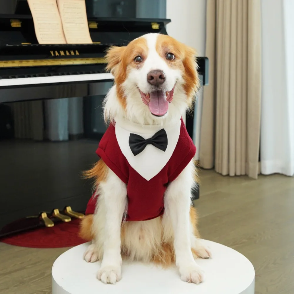 Large Dogs Bowtie Design Dog Tuxedo Blazer Vest Winter Warm Dog Sweater Formal Style Pet Dress Wedding Event
Large Dogs Bowtie Design Dog Tuxedo Blazer Vest Winter Warm Dog Sweater Formal Style Pet Dress Wedding Event