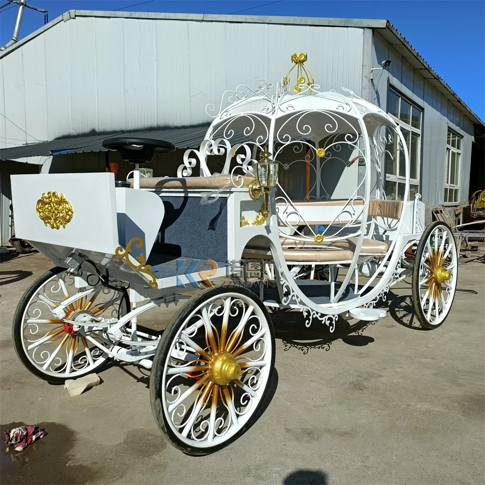 Event Luxury Show Vintage Cinderella Pumpkin Carriage Classic Romantic Wedding Pumpkin Carriage For Sale
Event Luxury Show Vintage Cinderella Pumpkin Carriage Classic Romantic Wedding Pumpkin Carriage For Sale