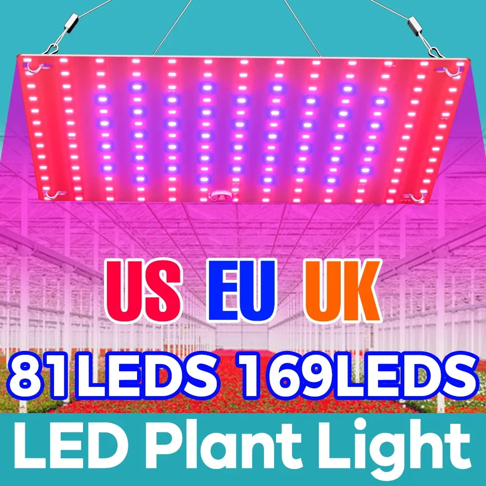 Plant Grow Light LED Full Spectrum 1000W/2000W Quantum Board Lamp Indoor Flower Greenhouse Cultivation Hydroponics Growing Light
Plant Grow Light LED Full Spectrum 1000W/2000W Quantum Board Lamp Indoor Flower Greenhouse Cultivation Hydroponics Growing Light