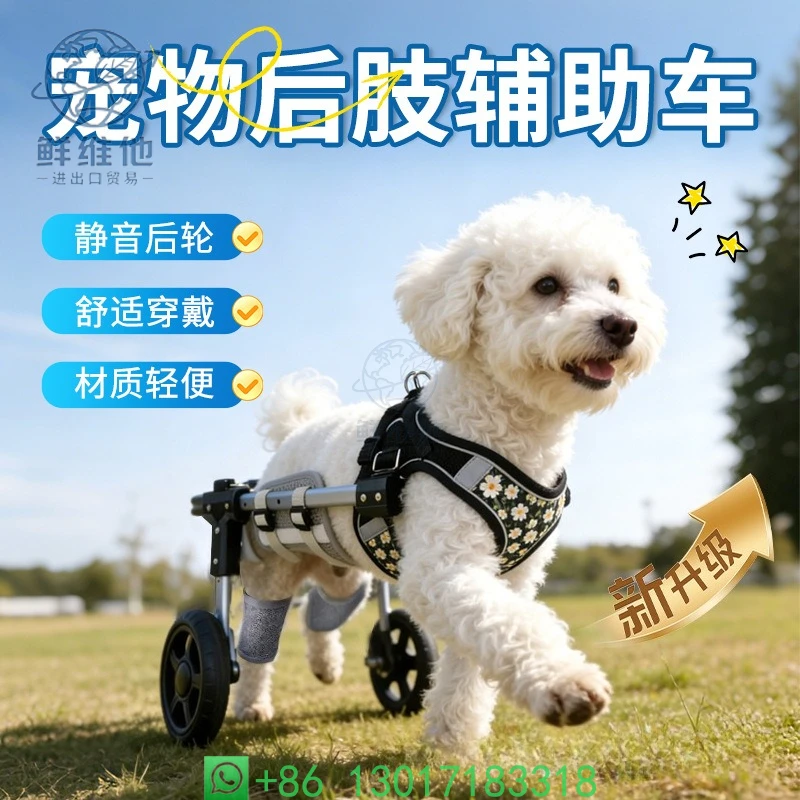 Dog New Wheelchair Cat Hind Limb Wheelchair Upgraded Retractable Lightweight Pet Assist Car Hind Leg Bracket
Dog New Wheelchair Cat Hind Limb Wheelchair Upgraded Retractable Lightweight Pet Assist Car Hind Leg Bracket