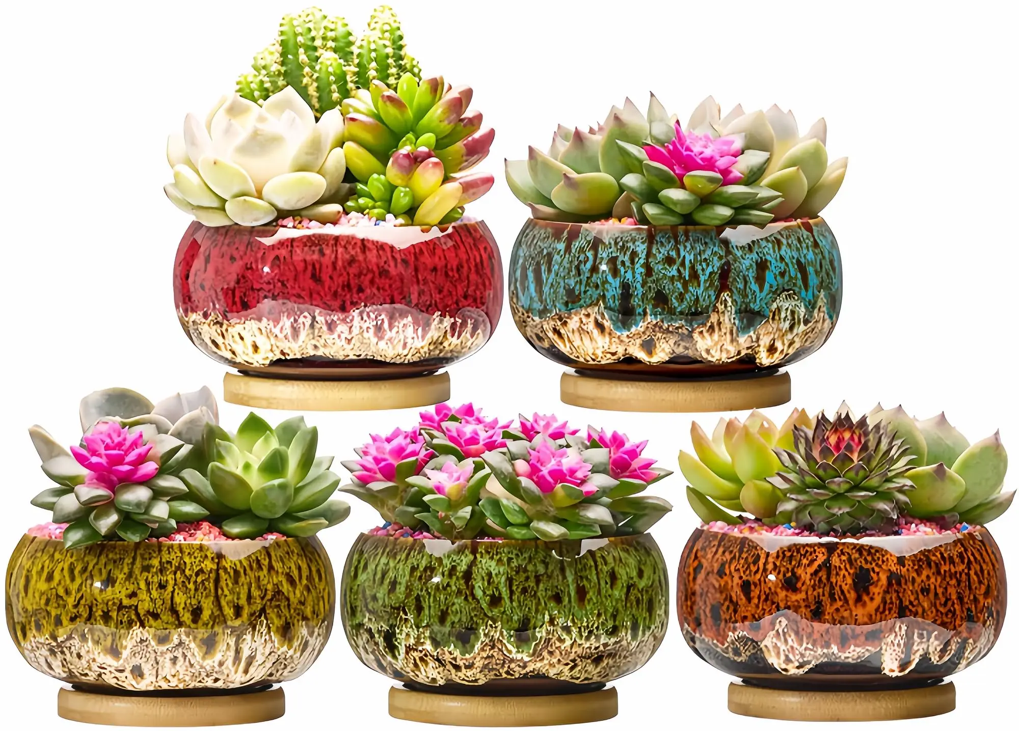 Cute Ceramic Succulent Garden Pots, Planter with Drainage and Attached Saucer, Set of 5 -Plants Not Included (Round+White Border
Cute Ceramic Succulent Garden Pots, Planter with Drainage and Attached Saucer, Set of 5 -Plants Not Included (Round+White Border