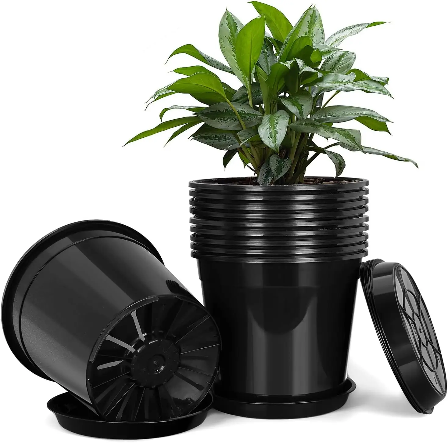 2 Gallon Plastic Pots with Drip Trays, Sturdy Plant Pots with Drainage Holes, Large Planter for Indoor Outdoor Use, 10 Pack
2 Gallon Plastic Pots with Drip Trays, Sturdy Plant Pots with Drainage Holes, Large Planter for Indoor Outdoor Use, 10 Pack