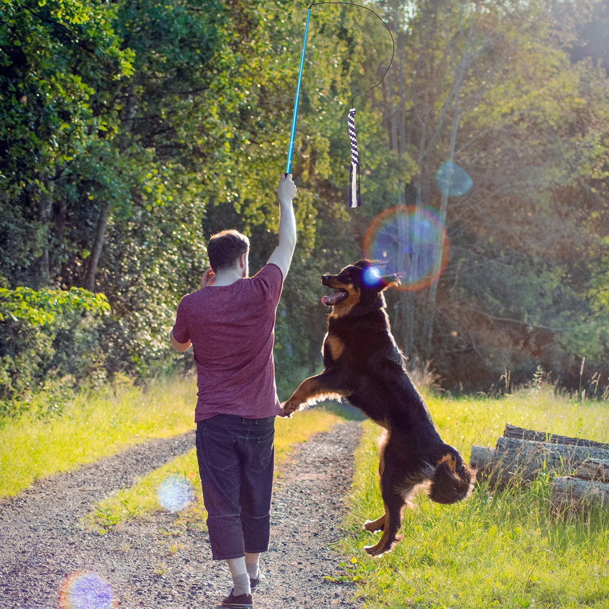 1Pcs Pet Teaser Pole for Dogs with Extendable Design Cotton Rope Attachment Strengthens Obedience Endurance Size L Blue
1Pcs Pet Teaser Pole for Dogs with Extendable Design Cotton Rope Attachment Strengthens Obedience Endurance Size L Blue