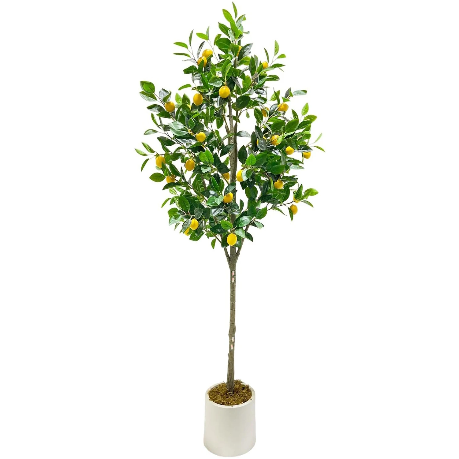 Искусственные лимонные деревья 1,5 м для дома и улицы, в кашпо, для декора на День Благодарения, свадьбу, вечеринку, для дома и офиса
Искусственные лимонные деревья 1,5 м для дома и улицы, в кашпо, для декора на День Благодарения, свадьбу, вечеринку, для дома и офиса