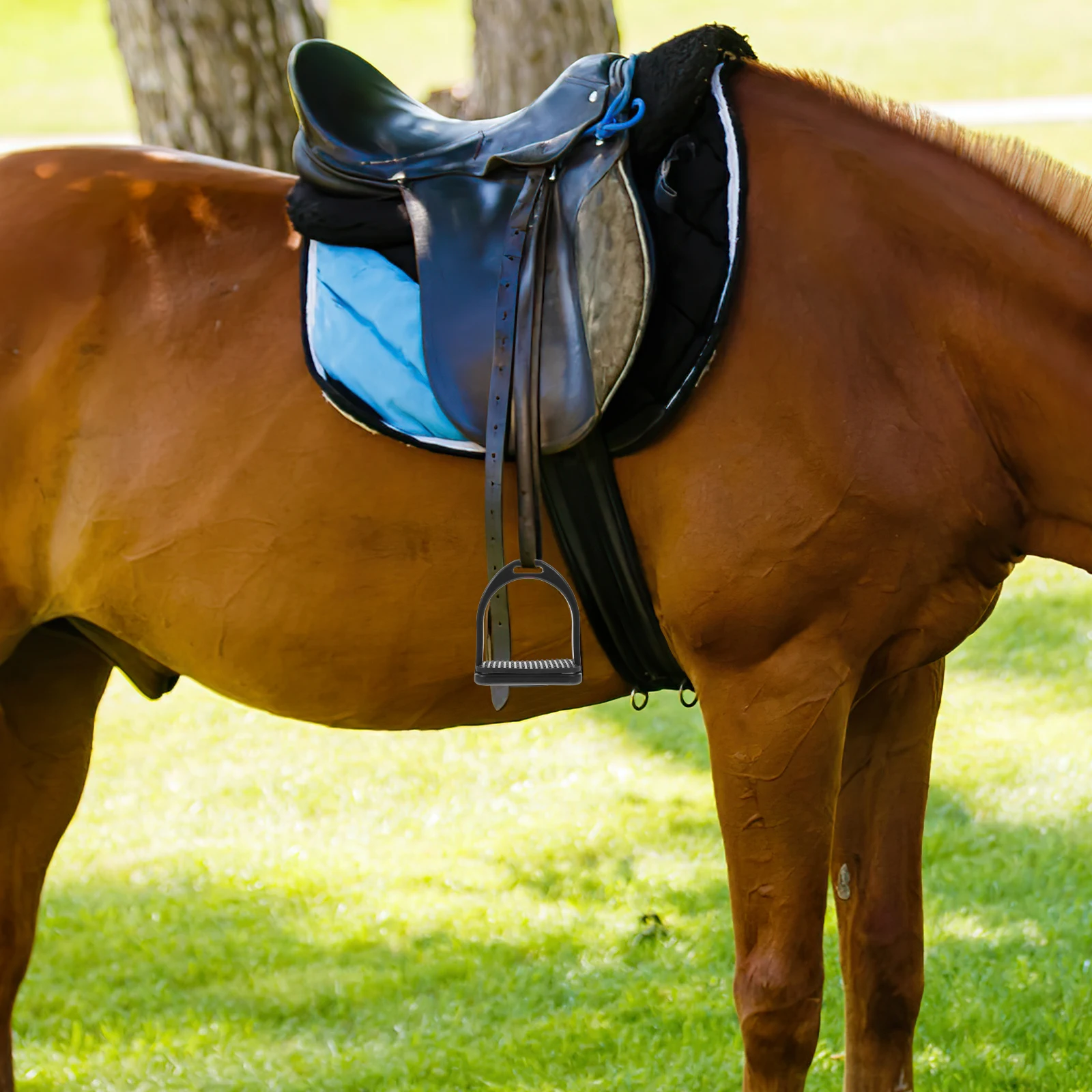 2Pcs Nonslip Stirrups for Horse Riding Durable POM Material Safety Western Saddle Accessories Youth Child Anti Skid
2Pcs Nonslip Stirrups for Horse Riding Durable POM Material Safety Western Saddle Accessories Youth Child Anti Skid