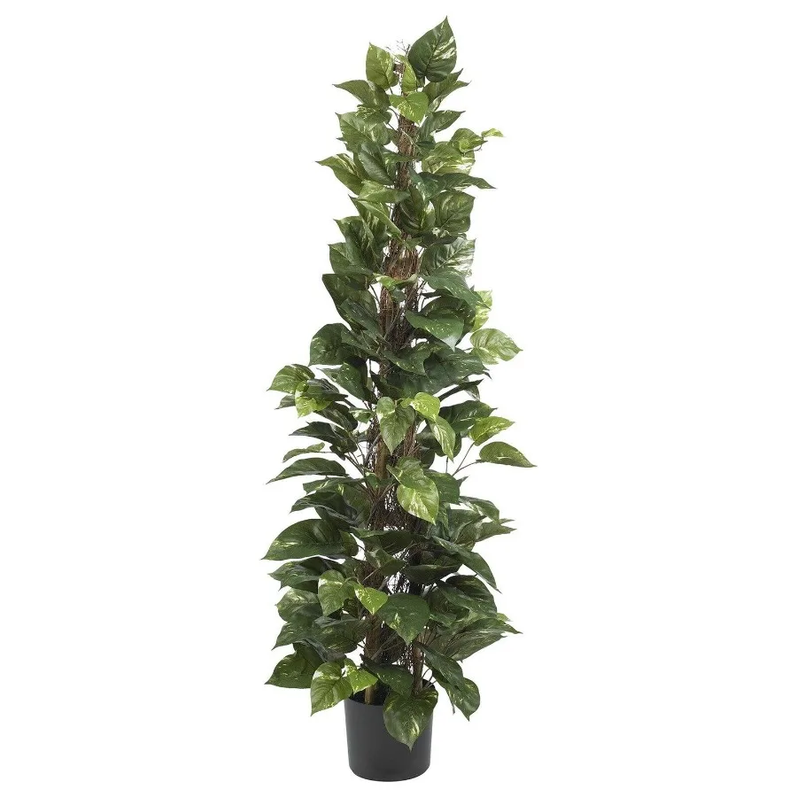 Plastic 63" Pothos Climbing Artificial Plant Green
Plastic 63" Pothos Climbing Artificial Plant Green