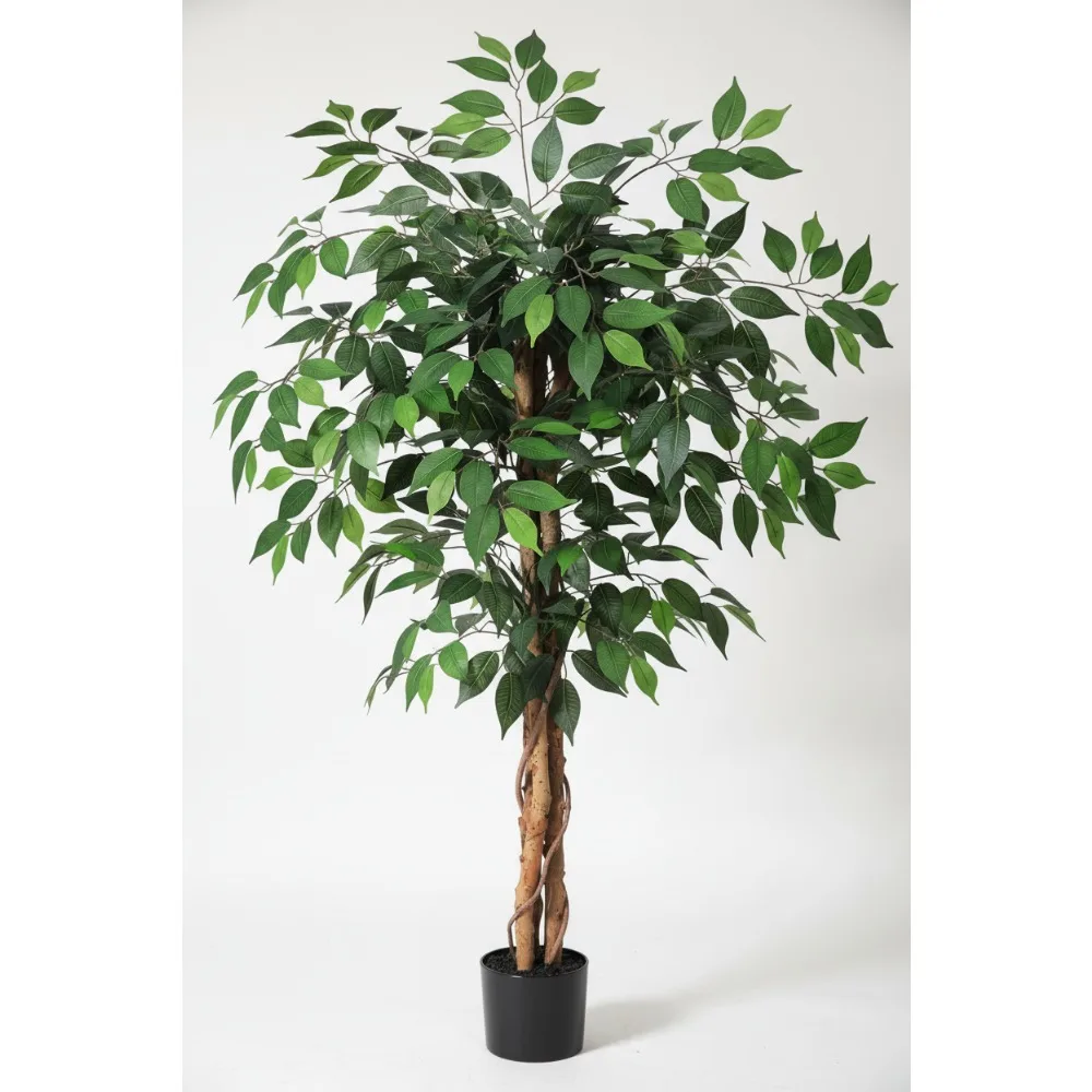 4-футовое реалистичное искусственное дерево фикуса с деревянным стволом, шелковыми листьями в горшке для декора домашнего офиса в помещении и на открытом воздухе
4-футовое реалистичное искусственное дерево фикуса с деревянным стволом, шелковыми листьями в горшке для декора домашнего офиса в помещении и на открытом воздухе