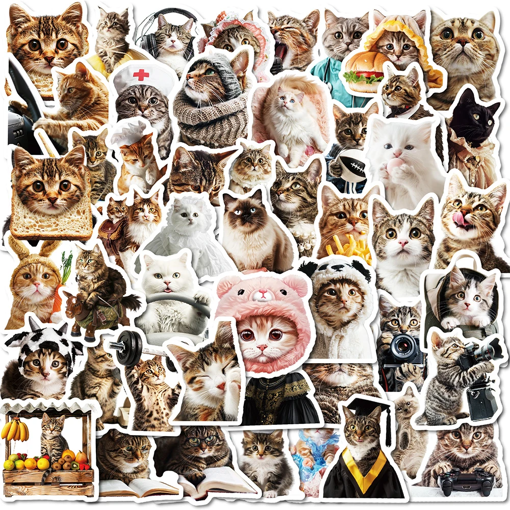 10/30/50PCS Cute Cat MEME Graffiti Stickers DIY Notebook Laptop Phone Case Car Kawaii Animal Sticker Cartoon Graffiti Decal Pack
10/30/50PCS Cute Cat MEME Graffiti Stickers DIY Notebook Laptop Phone Case Car Kawaii Animal Sticker Cartoon Graffiti Decal Pack