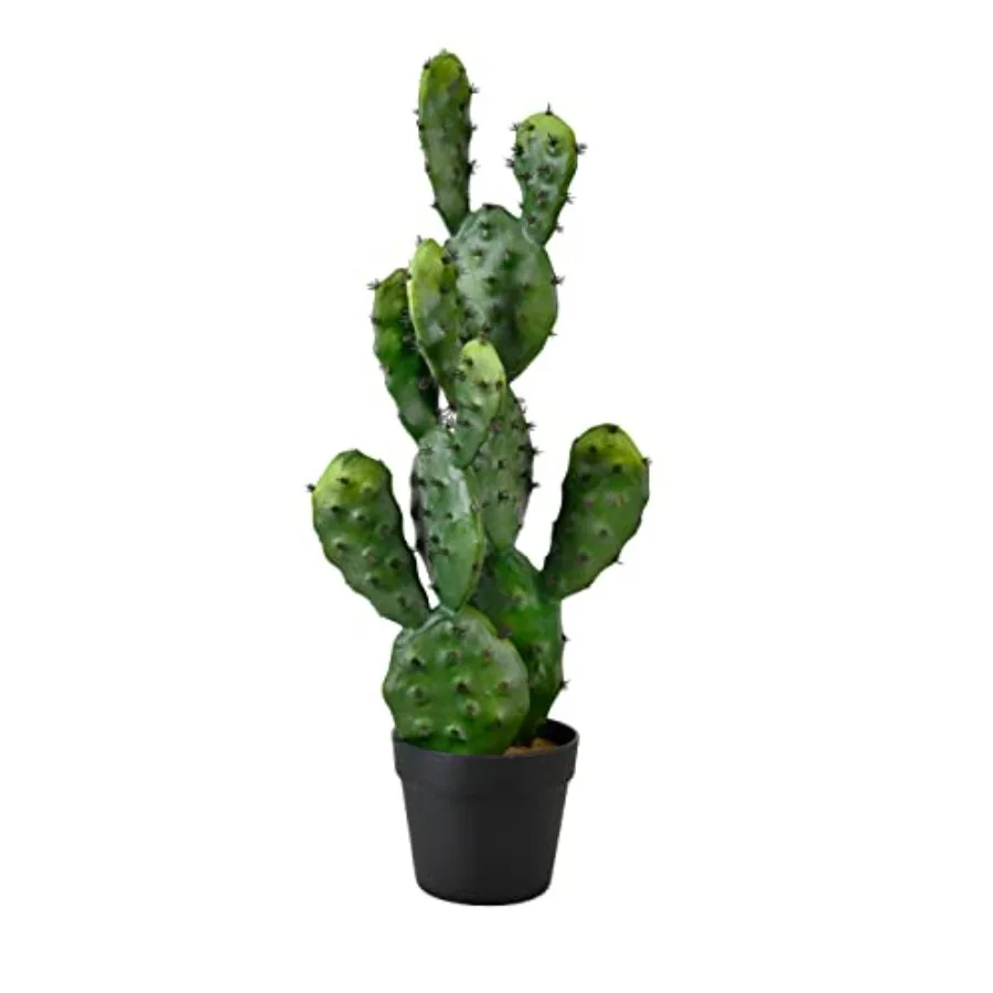 Lifelike Artificial Prickly Pear Cactus in Plastic Black Pot 11 Diameter 27 Tall Ideal for Balcony Living Room Kitchen Office P
Lifelike Artificial Prickly Pear Cactus in Plastic Black Pot 11 Diameter 27 Tall Ideal for Balcony Living Room Kitchen Office P