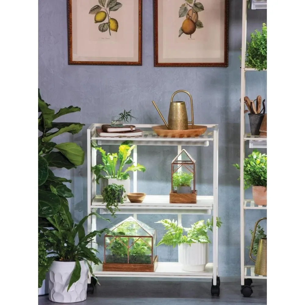 Компания Gardener's Supply Oslo 2-уровневая металлическая подставка для растений Grow Light | Полка для выращивания комнатных растений | 2-регулируемый магнитный полный стержень
Компания Gardener's Supply Oslo 2-уровневая металлическая подставка для растений Grow Light | Полка для выращивания комнатных растений | 2-регулируемый магнитный полный стержень
