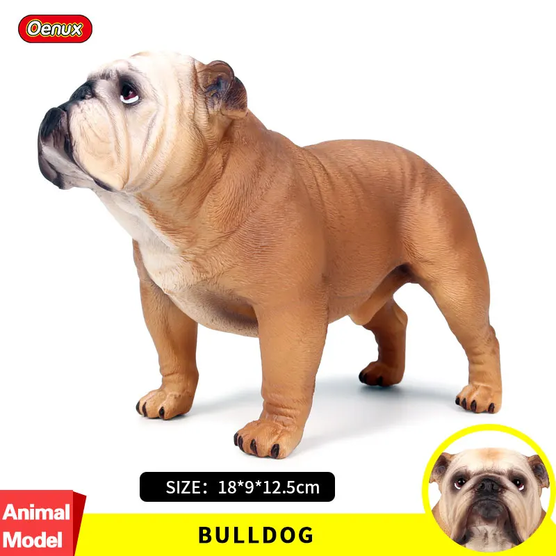 Oenux Classic Big Size British Bulldog Simulation Animals Brown Bulldog Action Figures Pet Dog Model Figurine Collection Toys
Oenux Classic Big Size British Bulldog Simulation Animals Brown Bulldog Action Figures Pet Dog Model Figurine Collection Toys
