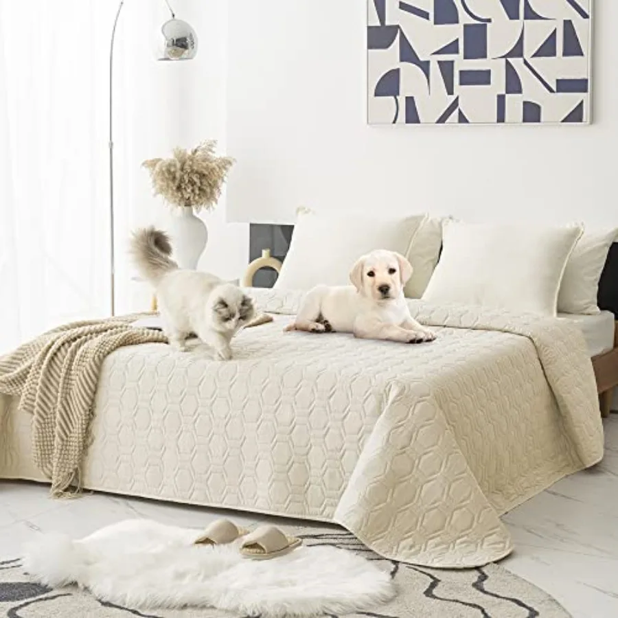 Waterproof and Anti-Slip Dog Bed Cover and Pet Blanket Sofa Pet Bed Mat car Incontinence Mattress Protectors Furniture Couch Co
Waterproof and Anti-Slip Dog Bed Cover and Pet Blanket Sofa Pet Bed Mat car Incontinence Mattress Protectors Furniture Couch Co
