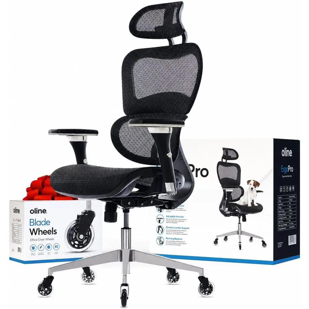 Adjustable Armrest Ergonomic Office Chair with 3D Lumbar Support, Mesh Back, and Blade Wheels (Black)
Adjustable Armrest Ergonomic Office Chair with 3D Lumbar Support, Mesh Back, and Blade Wheels (Black)