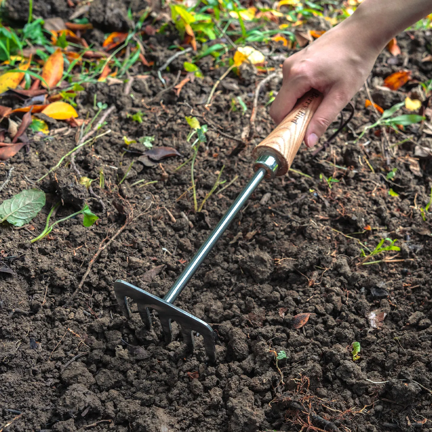 Gardening Forest High-end Household Flower Planting Tools Shovel Rake Loosening Soil Planting Ash Wood
Gardening Forest High-end Household Flower Planting Tools Shovel Rake Loosening Soil Planting Ash Wood