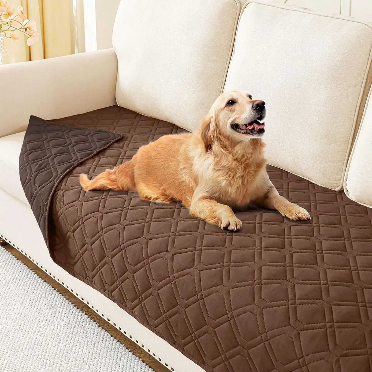 Waterproof Dog Bed Blanket, Reversible Sofa Cover, Washable Furniture Protector, 30x70 Inch, Brown/Chocolate
Waterproof Dog Bed Blanket, Reversible Sofa Cover, Washable Furniture Protector, 30x70 Inch, Brown/Chocolate