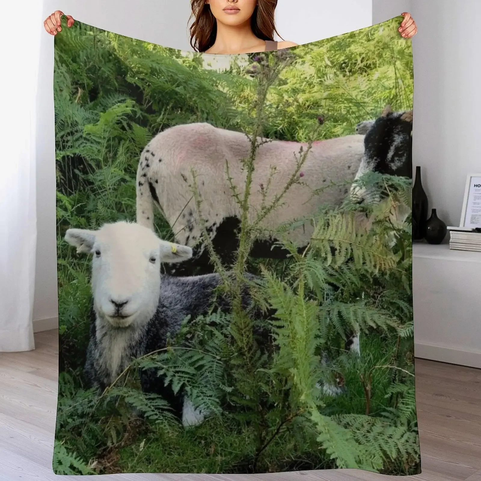 Lake District herdy sheep in laying in ferns Throw Blanket Stylish Warm Blanket for Living Room Bedroom
Lake District herdy sheep in laying in ferns Throw Blanket Stylish Warm Blanket for Living Room Bedroom
