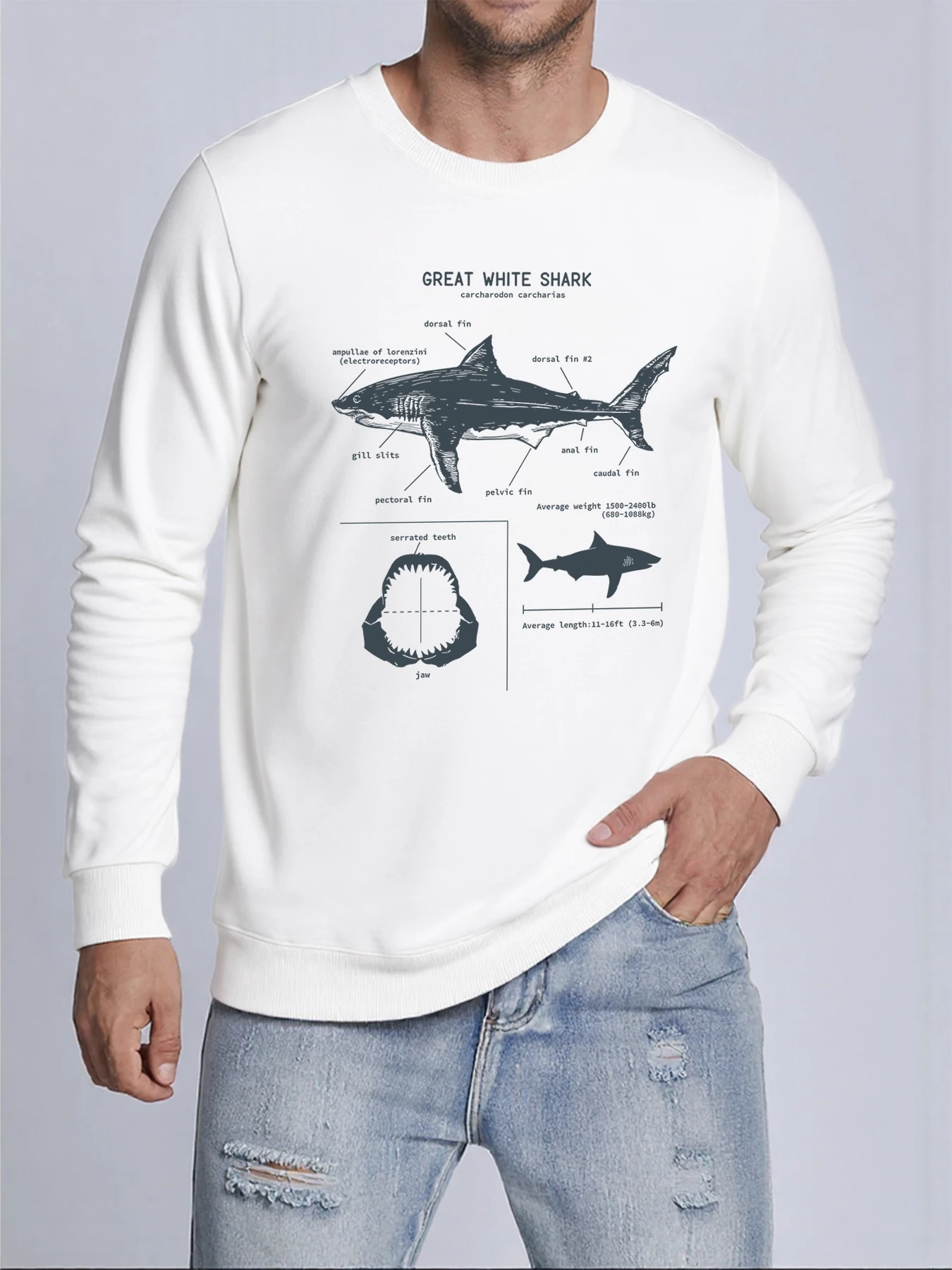 Great White Shark Infographic Print Pullovers Man Sports Simple Hoodie Loose Fashion Sweatshirts Autumn Casual Sportswears
Great White Shark Infographic Print Pullovers Man Sports Simple Hoodie Loose Fashion Sweatshirts Autumn Casual Sportswears
