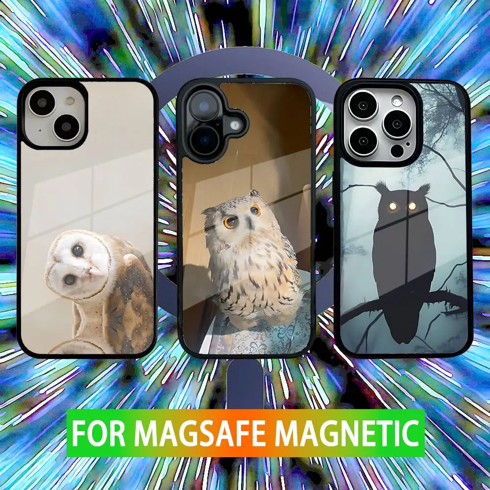 Lovely Animal Owl Phone Case For iPhone 16,15,14,13,12,11,Pro,Max,Plus,Mini,SE New Magsafe Magnetic Wireless Charging
Lovely Animal Owl Phone Case For iPhone 16,15,14,13,12,11,Pro,Max,Plus,Mini,SE New Magsafe Magnetic Wireless Charging
