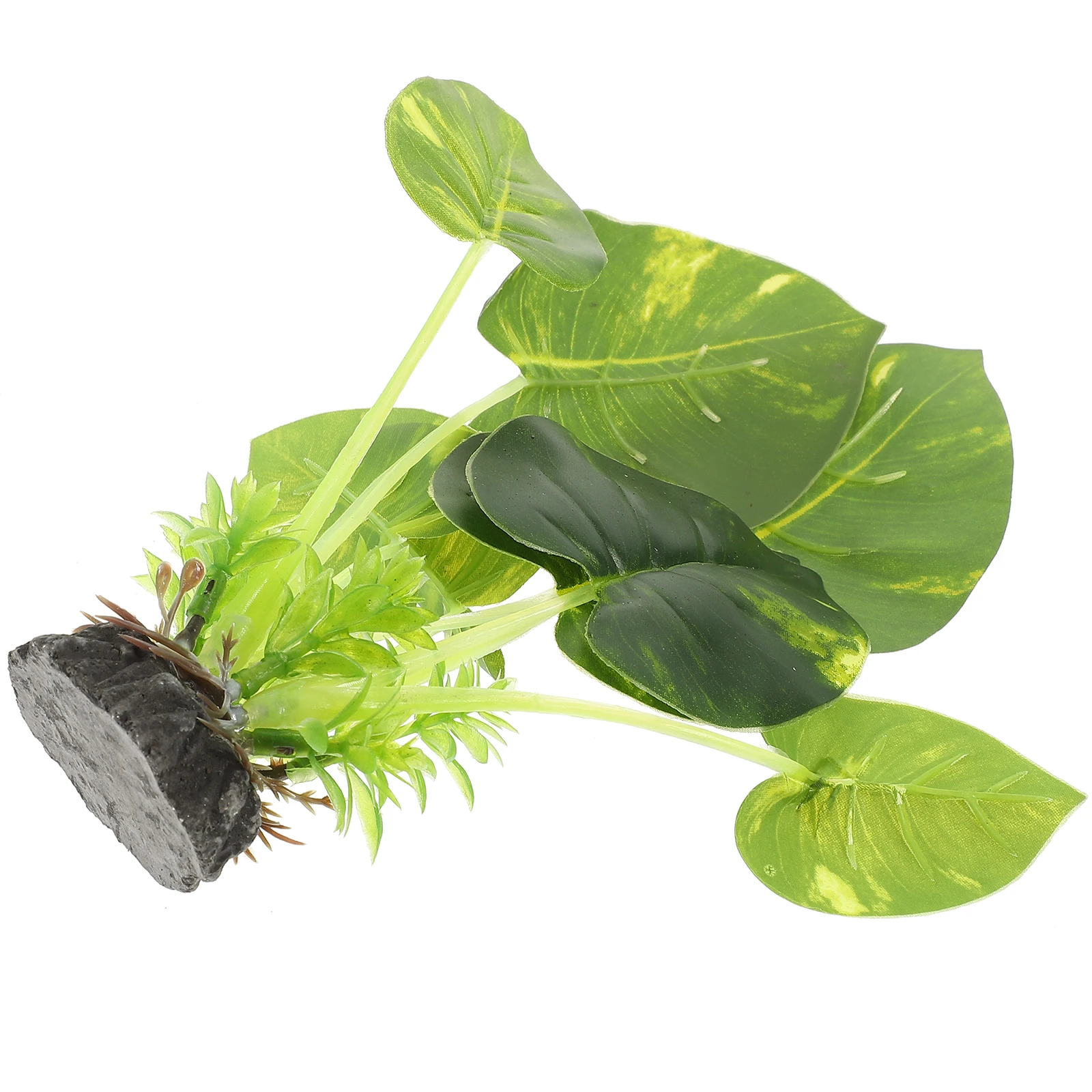 Realistic Fake Plants Lifelike Aquatic Plant Decor For Tank Saltwater Freshwater Aquarium Decorations Small Fish Tank
Realistic Fake Plants Lifelike Aquatic Plant Decor For Tank Saltwater Freshwater Aquarium Decorations Small Fish Tank