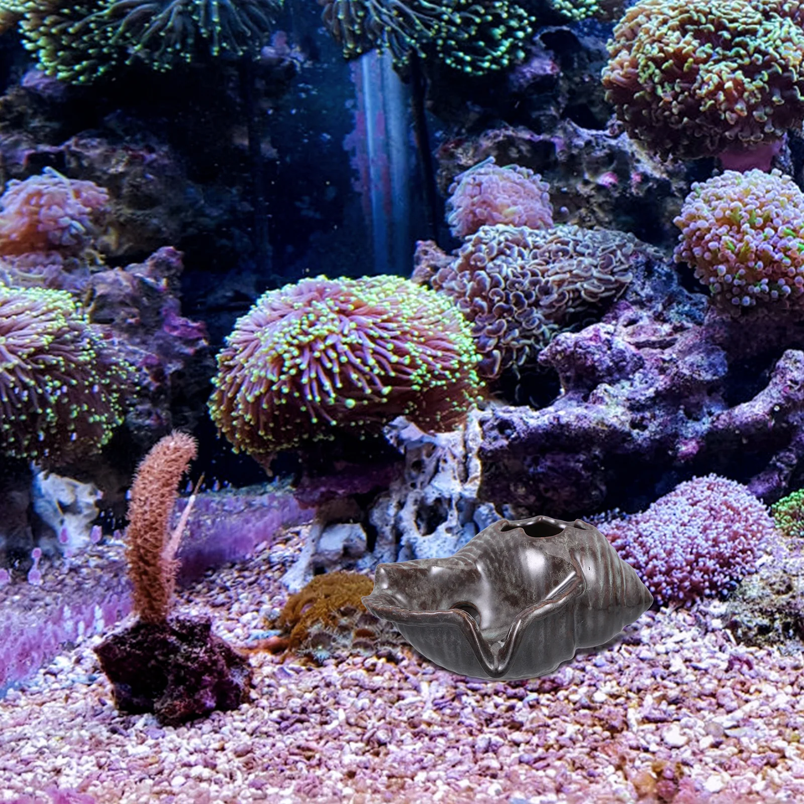 Ceramic Garden Conch Water Feature Spitter Outdoor Pond Fountain Spray Decoration for Fish Tank Landscaping Waterfall Scene
Ceramic Garden Conch Water Feature Spitter Outdoor Pond Fountain Spray Decoration for Fish Tank Landscaping Waterfall Scene