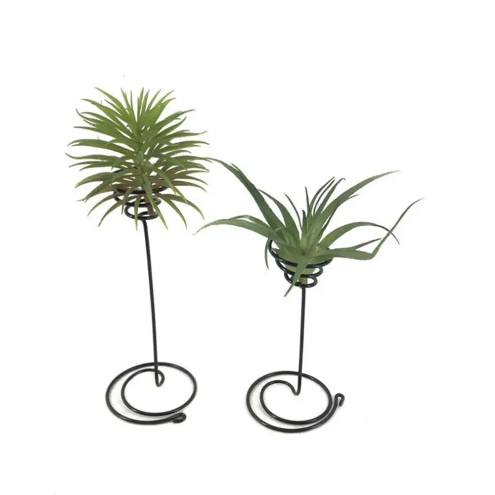 Air Pineapple Display Rack Flower St Wrought Iron Holder Pot Durable Corrosion Resistant Suitable Gardens Home Office
Air Pineapple Display Rack Flower St Wrought Iron Holder Pot Durable Corrosion Resistant Suitable Gardens Home Office