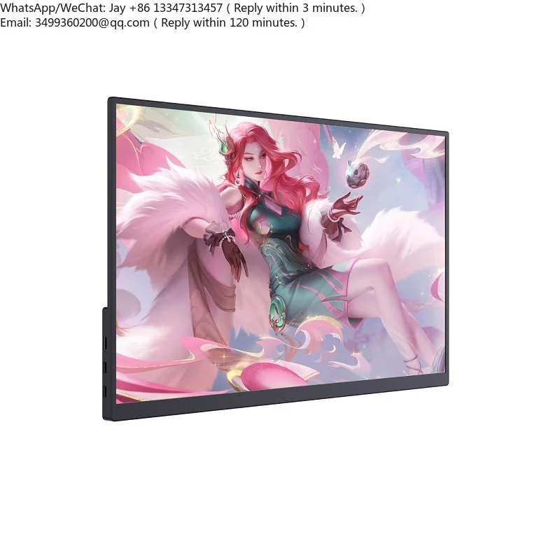 18.5 Inch IPS Portable Monitor Touch Screen 220cd/m Full HD 100Hz Built-in Speaker Laptop Second Screen Display
18.5 Inch IPS Portable Monitor Touch Screen 220cd/m Full HD 100Hz Built-in Speaker Laptop Second Screen Display