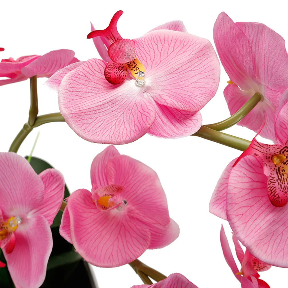 Элегантная лампа в виде цветка орхидеи с регулируемыми стеблями для спальни, гостиной, свадебного декора, работает от батареек ААА
Элегантная лампа в виде цветка орхидеи с регулируемыми стеблями для спальни, гостиной, свадебного декора, работает от батареек ААА