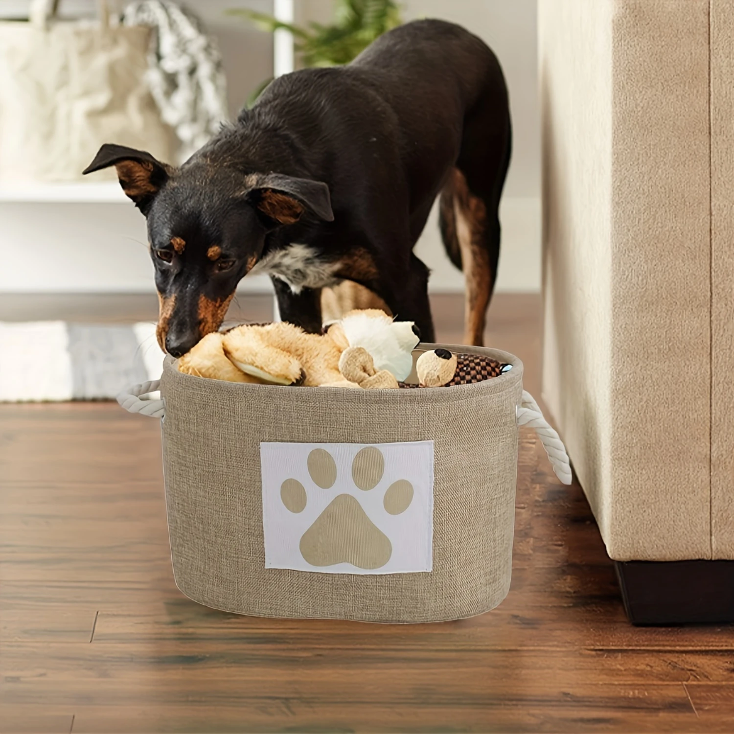 1pc Pet Toy Basket, Dog Toy Box With Handle, Bin For Dog Toys And Accessories Pet Supplies
1pc Pet Toy Basket, Dog Toy Box With Handle, Bin For Dog Toys And Accessories Pet Supplies