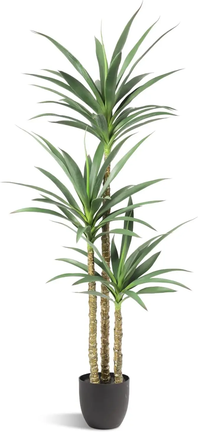 Artificial Tree 5.3Ft Faux Agave Plant With 3 Heads In Plastic Pot Fake Tree For Home Decor Indoor Or Outdoor Office Decoration
Artificial Tree 5.3Ft Faux Agave Plant With 3 Heads In Plastic Pot Fake Tree For Home Decor Indoor Or Outdoor Office Decoration