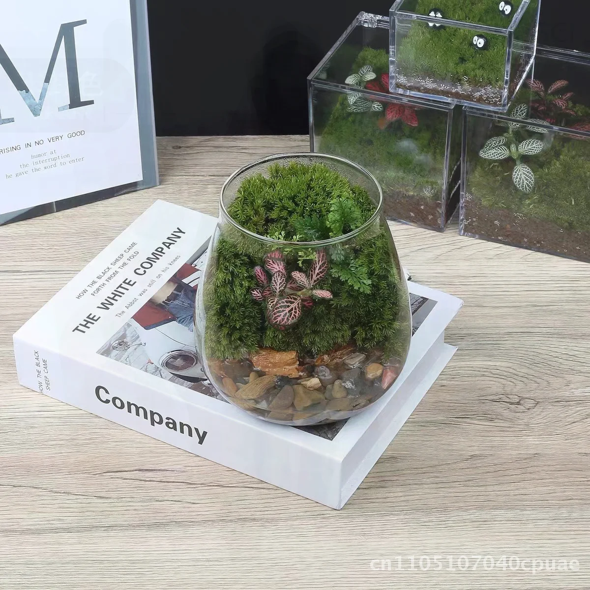 Ecological Hydroponic Plant Bottle Glass Micro Landscape Moss Ornament DIY Hand Gift - High Borosilicate Glass Small & Large
Ecological Hydroponic Plant Bottle Glass Micro Landscape Moss Ornament DIY Hand Gift - High Borosilicate Glass Small & Large
