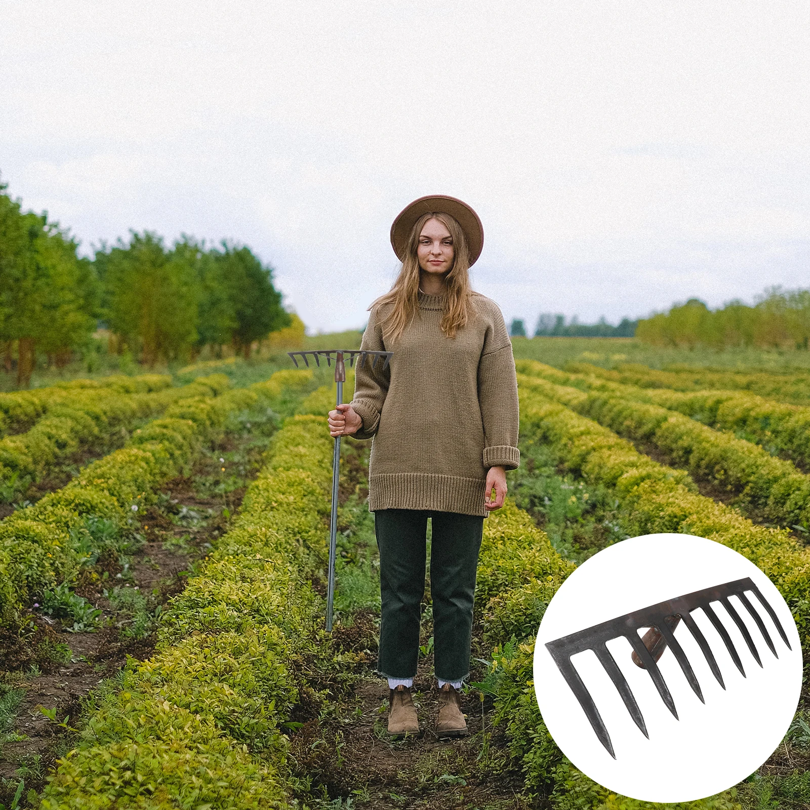 1pc Garden Soil Grass Rake Agricultural Steel Farm Implement Dark Grey Plowing Rake Planting Tool Soil Loosening Tool For Farm
1pc Garden Soil Grass Rake Agricultural Steel Farm Implement Dark Grey Plowing Rake Planting Tool Soil Loosening Tool For Farm