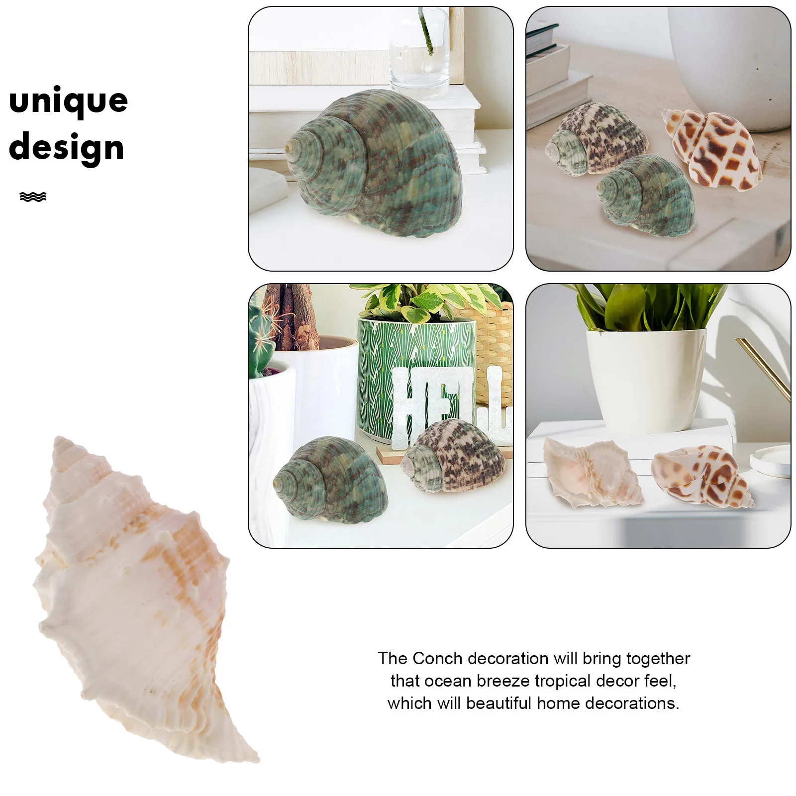 6Pcs Natural Seashell Conch Craft Fish Tank Decoration Aquarium Ornament Small Durable Lightweight Accent 
6Pcs Natural Seashell Conch Craft Fish Tank Decoration Aquarium Ornament Small Durable Lightweight Accent