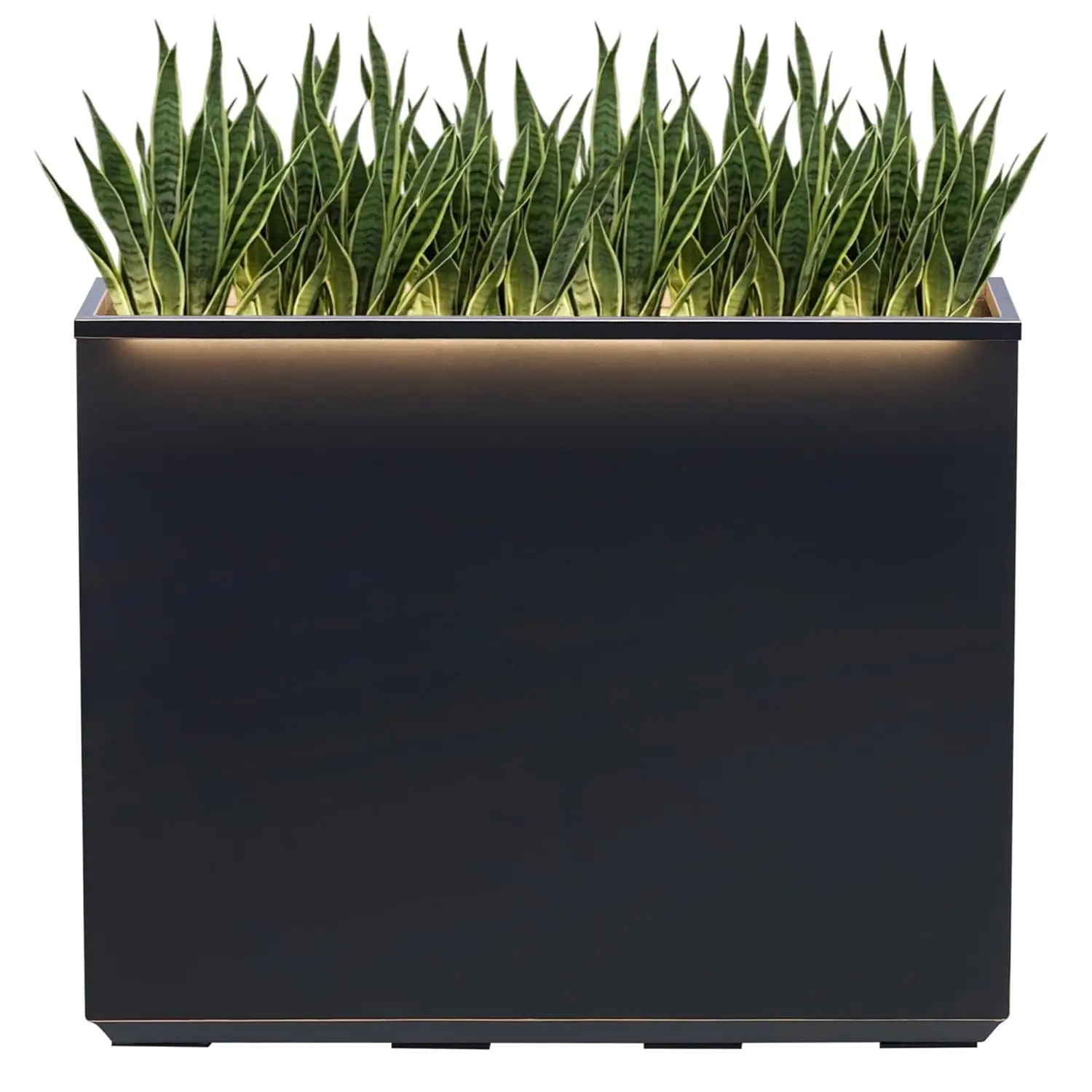 Metallic LED Outdoor Planter Box, Hand Brushed Gold Rim, Long Tall Divider Garden Patio Pot, 38x10x30in, Customized
Metallic LED Outdoor Planter Box, Hand Brushed Gold Rim, Long Tall Divider Garden Patio Pot, 38x10x30in, Customized