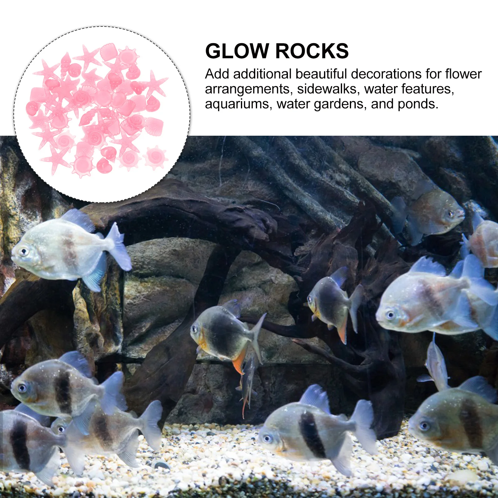 50 Pcs Glow in the Dark Pebbles Fluorescent Resin Stones for Fish Tank Aquarium Decor Flowerpot Gravel Night Rocks
50 Pcs Glow in the Dark Pebbles Fluorescent Resin Stones for Fish Tank Aquarium Decor Flowerpot Gravel Night Rocks