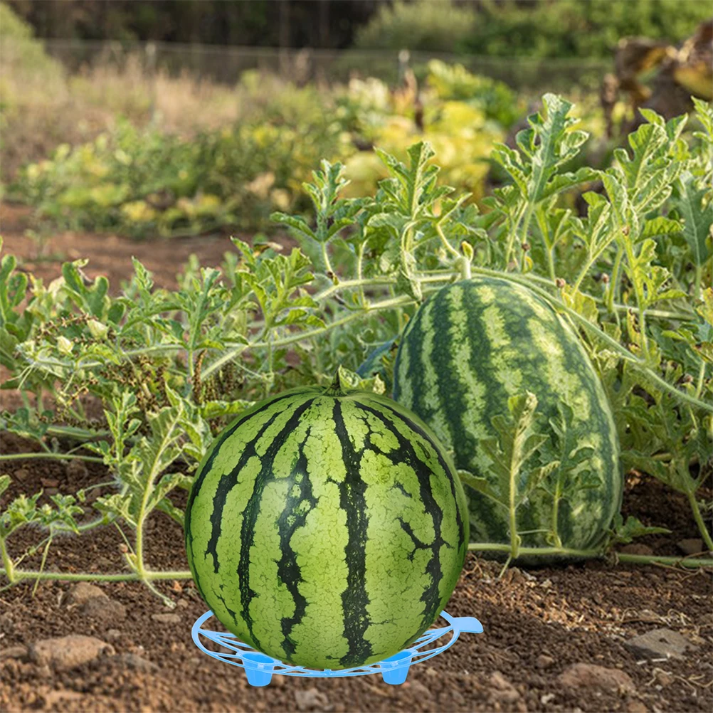 10 Pcs Fruit Tray Watermelon Cradle Pumpkin Cantaloupe Trellis Squash Frame Garden Plant Support Melon Hammock Vegetable 
10 Pcs Fruit Tray Watermelon Cradle Pumpkin Cantaloupe Trellis Squash Frame Garden Plant Support Melon Hammock Vegetable