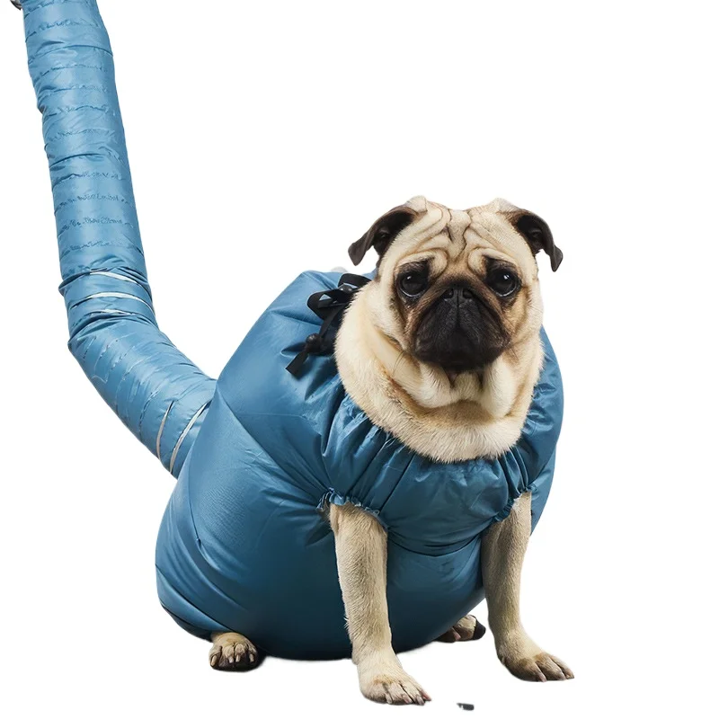 Folding Pet Dog Dryer Protect Clothes Portable Pet Fast Easy Hair Drying Blow Bag Winter Pets Cleaning Bath Grooming Accessories
Folding Pet Dog Dryer Protect Clothes Portable Pet Fast Easy Hair Drying Blow Bag Winter Pets Cleaning Bath Grooming Accessories