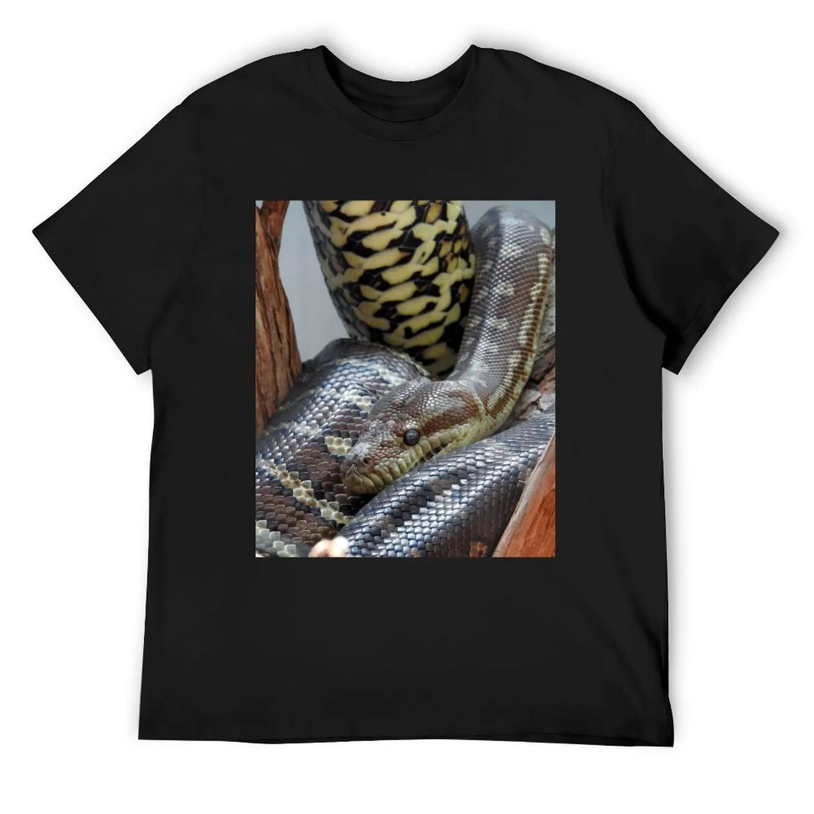 Centralian Carpet Python T-Shirt boys animal print graphic tee shirt oversized t shirt baggy shirts mens graphic t-shirts funny
Centralian Carpet Python T-Shirt boys animal print graphic tee shirt oversized t shirt baggy shirts mens graphic t-shirts funny
