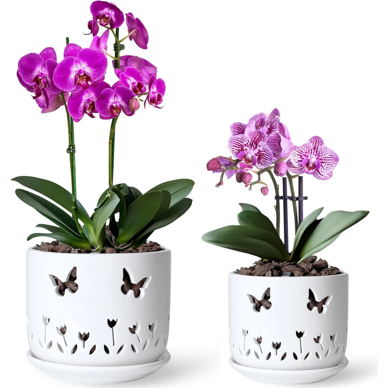 2 Pack Ceramic Orchid Pots with Butterflies and Tulips Holes, 5+6 Inch with Saucer for Repotting Indoor Outdoor
2 Pack Ceramic Orchid Pots with Butterflies and Tulips Holes, 5+6 Inch with Saucer for Repotting Indoor Outdoor