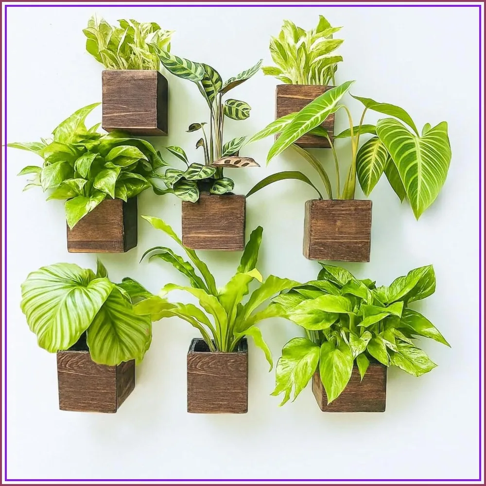LaLaGreen Wood Planter Boxes for Plants, 4x4 Inch 8 Pack, Small Square Wall Mounted Planters for Indoor Herb, Hanging Flower Pot Holder Outdoor Fence Vertical Garden
LaLaGreen Wood Planter Boxes for Plants, 4x4 Inch 8 Pack, Small Square Wall Mounted Planters for Indoor Herb, Hanging Flower Pot Holder Outdoor Fence Vertical Garden