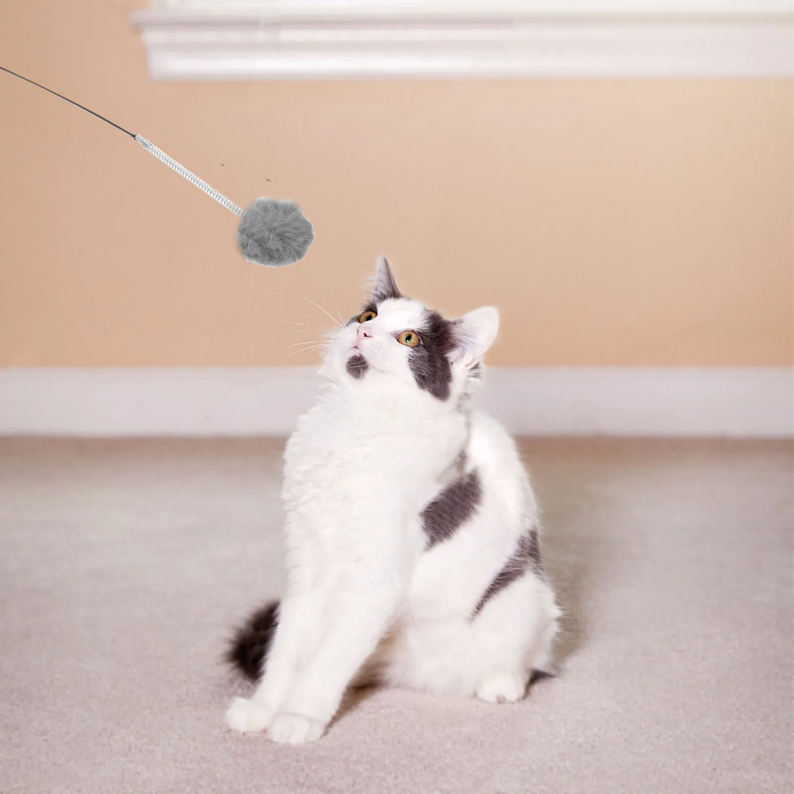 6Pcs Cat Dangling Ball Interactive Anti Bite Playing for Exercise Indoor Chase Physical Stimulation Cat Tree Kitten Bouncy Balls
6Pcs Cat Dangling Ball Interactive Anti Bite Playing for Exercise Indoor Chase Physical Stimulation Cat Tree Kitten Bouncy Balls