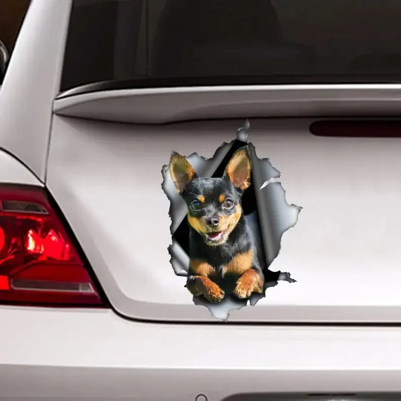 Black and tan Chihuahua car decal, torn metal decal, chihuahua car decal
Black and tan Chihuahua car decal, torn metal decal, chihuahua car decal