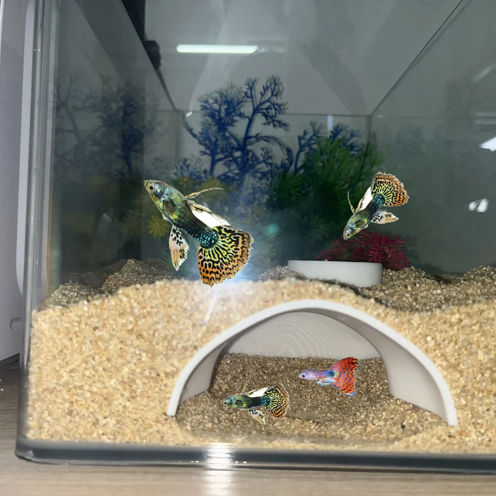 Underground tunnel for aquarium cave/ fish tank For Aquatic Pets To Breed Play AndRest Fish Tank Ornaments
Underground tunnel for aquarium cave/ fish tank For Aquatic Pets To Breed Play AndRest Fish Tank Ornaments