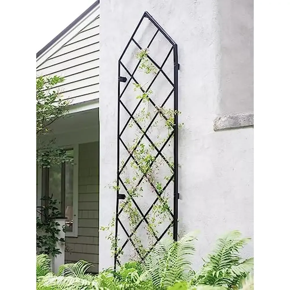 9ft Metal Frame Lattice Wall Trellis Climbing Plants Sturdy Support Vining Crops and Flowers Easy Assembly & Weather Resistant
9ft Metal Frame Lattice Wall Trellis Climbing Plants Sturdy Support Vining Crops and Flowers Easy Assembly & Weather Resistant